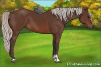 Horse Color:Silver Brown Sabino 