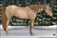 Horse Color:Liver Chestnut Pearl 