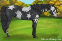 Horse Color:Black Ice 