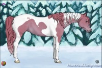 Horse Color:Watercolor Chestnut Tobiano 