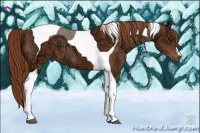 Horse Color:Chestnut Ice Tobiano 