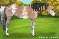 Horse Color:White Spotted Bay Ice