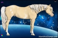 Horse Color:White Spotted Gold Cream Champagne Sabino 