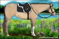 Horse Color:Amber Cream Champagne 