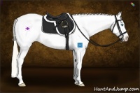 Horse Color:Smoky Creme Roan Splash Appaloosa 