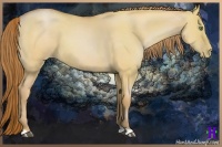 Horse Color:Bay Pearl Dun