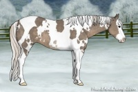 Horse Color:White Spotted Silver Smoky Black Splash Tobiano