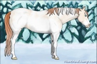 Horse Color:White Spotted Amber Cream Champagne Pearl Tobiano Frame 