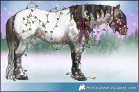 Horse Color:Brown Roan Snowcap