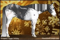 Horse Color:White Spotted Black Sabino Splash 