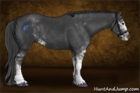 Horse Color:Smoky Black Sabino 