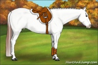 Horse Color:Brown Appaloosa  Brindle