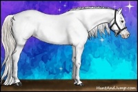 Horse Color:Chocolate Palomino Roan Near Leopard 