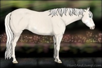 Horse Color:Cremello Sabino  Brindle