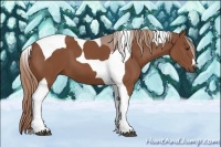 Horse Color:Chestnut Tobiano