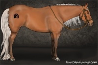 Horse Color:Silver Bay 