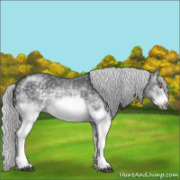 Horse Color:White Spotted Silver Black Chinchilla Sabino Frame