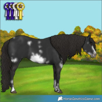 Horse Color:White Spotted Liver Chestnut Sabino Frame