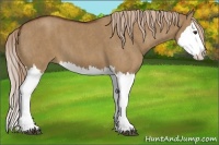 Horse Color:Red Dun Splash  Brindle