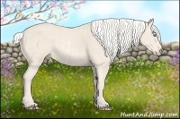 Horse Color:Cremello Sabino  Brindle