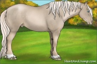 Horse Color:Chocolate Palomino Pearl 