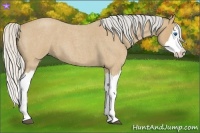 Horse Color:Silver Buckskin Roan Splash 