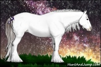 Horse Color:Brown Ice Appaloosa 
