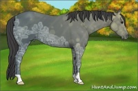 Horse Color:Smoky Black Ice 