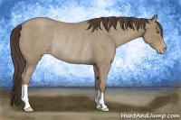 Horse Color:Classic Cream Champagne Roan Rabicano 