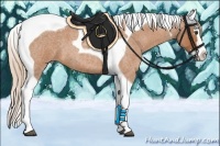 Horse Color:Red Roan Splash Tobiano 