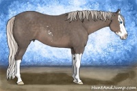 Horse Color:Silver Black Sabino Splash
