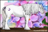 Horse Color:Cremello Appaloosa 