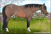 Horse Color:Bay Roan 