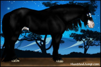 Horse Color:Gray Sable Cream Champagne Splash 