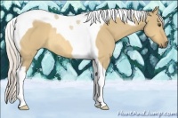 Horse Color:Silver Buckskin Dun Tobiano Rabicano