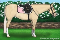 Horse Color:Silver Amber Champagne Dun Rabicano 