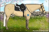 Horse Color:Silver Buckskin 