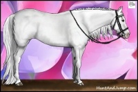 Horse Color:Black Chinchilla Tobiano Appaloosa 
