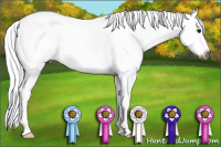 Horse Color:Gray Buckskin Roan Sabino Splash Rabicano 