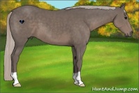 Horse Color:Silver Black 