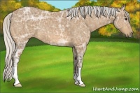 Horse Color:Silver Buckskin Ice 