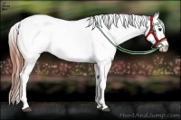 Horse Color:Brown Dun Tobiano Snowcap Rabicano 