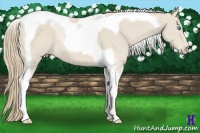 Horse Color:Smoky Creme Tobiano