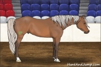 Horse Color:Silver Brown 