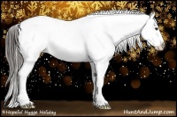 Horse Color:Liver Chestnut Ice Splash Appaloosa Rabicano
