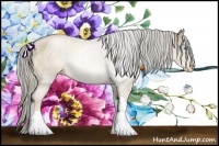 Horse Color:Chocolate Palomino Pearl