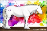 Horse Color:Watercolor Smoky Creme Sabino Appaloosa Rabicano 