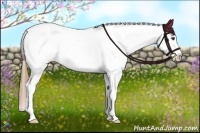 Horse Color:Chestnut Splash Tobiano Appaloosa