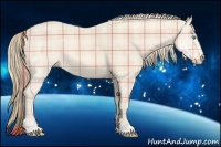 Horse Color:Plaid  Perlino 