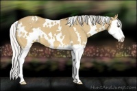 Horse Color:White Spotted Silver Buckskin Dun Splash 